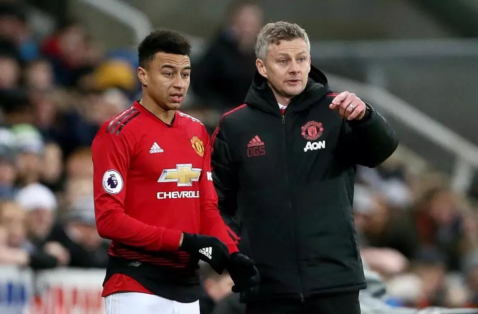 往往放大了 往往放大了